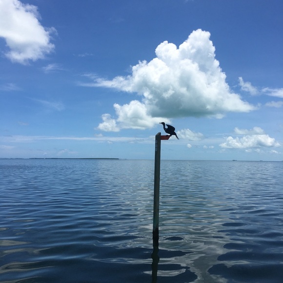 Meet your Posher, Shannon - Picture 6 of 7